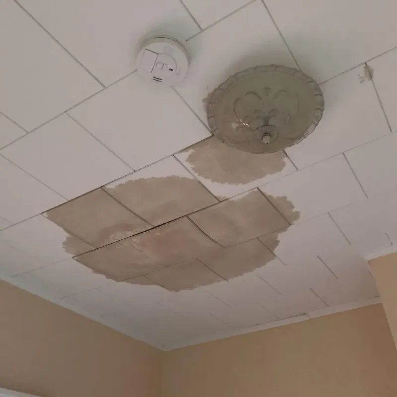 Ceiling Water Damage Repair in Northwood, OH